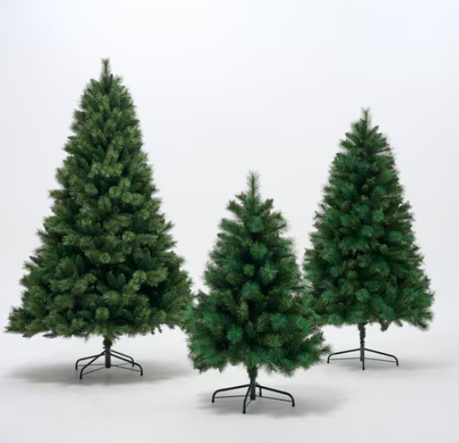 Farmers-Portland-Pine-Tree-240cm-8ft